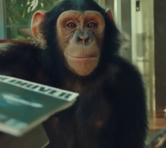 The "Monkeys See Monkey Do" Production